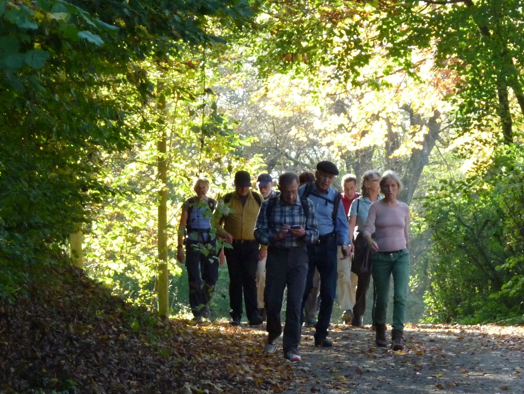 Wanderung Fischweier über Rimmelsbacher Hof nach Ettlingen
