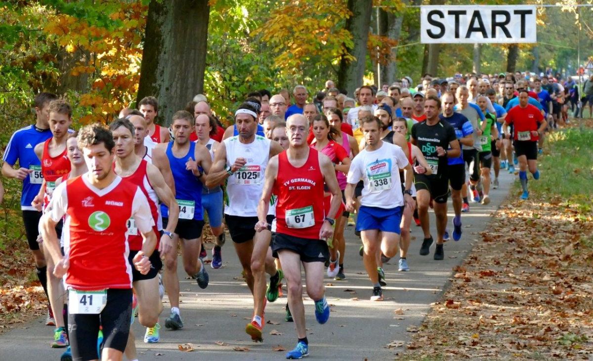 33. PSD Bank Hardtwaldlauf