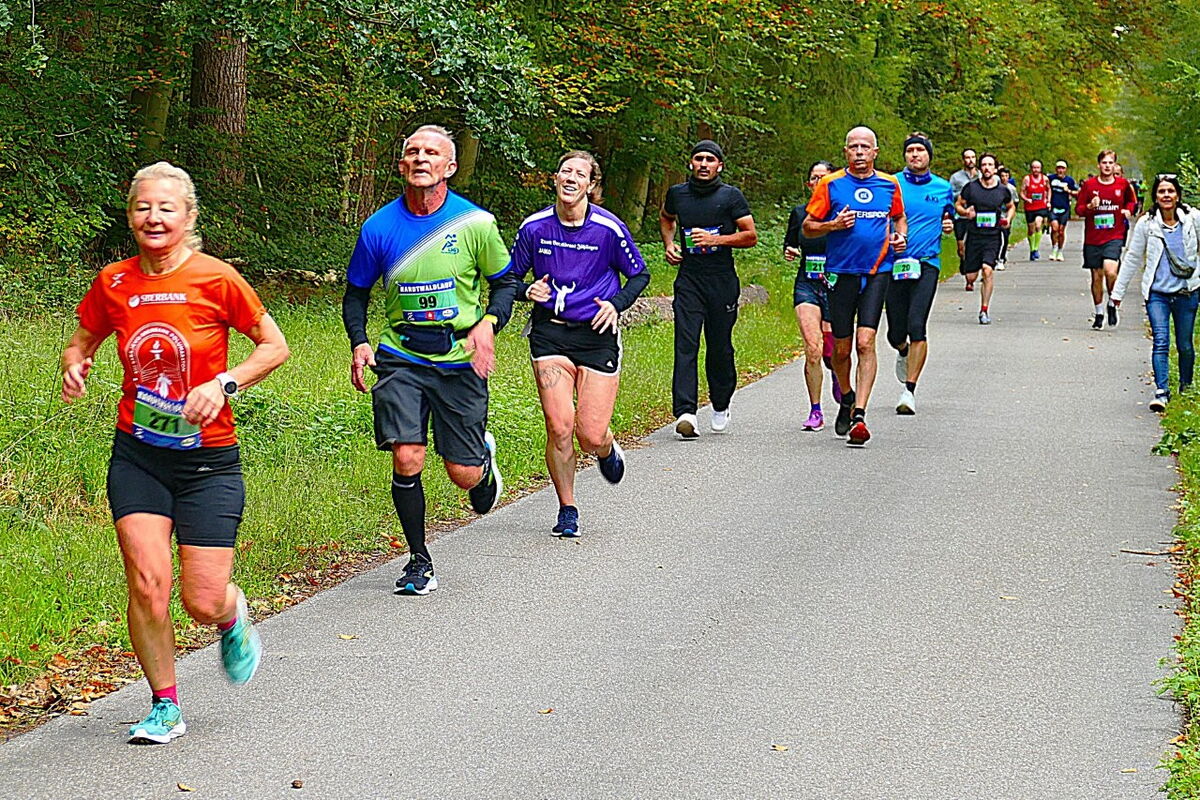 Hardtwaldlauf 2025 II